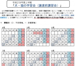 犬・猫の学習会（譲渡前講習会）