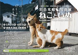 岩合光昭写真展「ねこといぬ」
