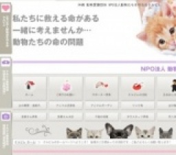 ワンニャン里親募集会