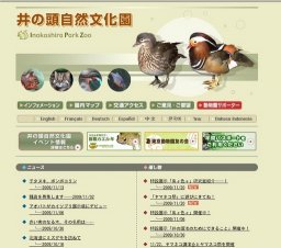 「ヤマネコ祭」に遊びにきてね！