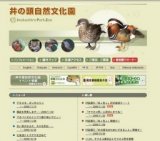 「ヤマネコ祭」に遊びにきてね！