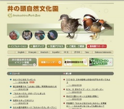 カピバラに池をプレゼント