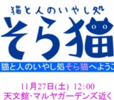 「そら猫」OPEN