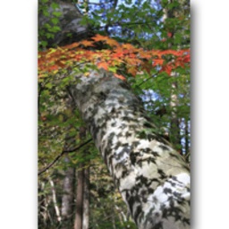 サークルフォト写真展