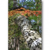 サークルフォト写真展