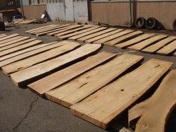 木のアウトレット市