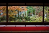 9/7（土） 立ち去り難いお庭で涼を取りに行きませんか？残暑は避暑地の大原で癒されましょう！ ...