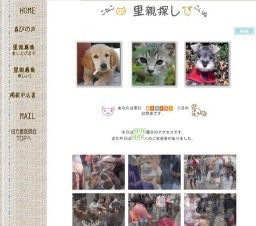 子猫・子犬の里親探し