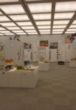 子ども縄文研究展2013～縄文のメッセージ、私のメッセージ～