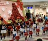１月２６日（日） セブンカルチャークラブ 受講生発表会