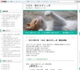 猫の譲渡会