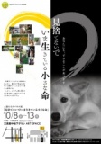 犬猫たちのパネル展 『見捨てないで！いま生きている小さな命』