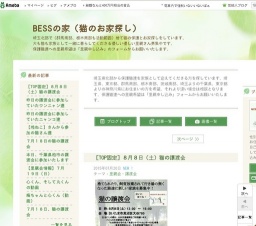 猫の譲渡会(埼玉県さいたま市)