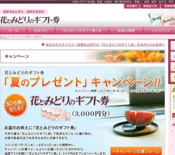 夏のプレゼントキャンペーン
