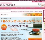 夏のプレゼントキャンペーン