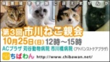 保護猫を家族に迎える譲渡会「ちばわん　市川ねこ親会」