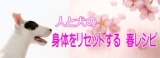 人と犬の「身体をリセットする春レシピ」セミナー