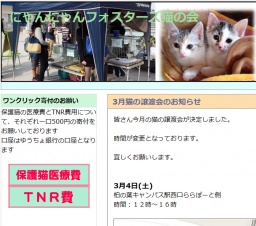 猫の譲渡会
