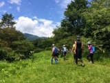 【観光マラニック】秦野弘法山トレイル