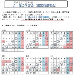 犬・猫の学習会（譲渡前講習会）