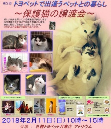 保護猫の譲渡会