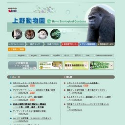 ヒガシクロサイの赤ちゃん名前募集!!