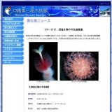 深海生物写真展