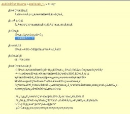 第68回企画展示 アンモナイト銅版画展