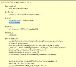 春の企画展「世界のチョウ」