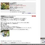 植物観察会ステップアップコース第4回