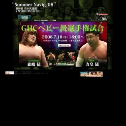 プロレスリング・ノア Shiny Navig. '08 〜第2回 日テレ杯争奪 ジュニアヘビー級タッグリーグ戦〜