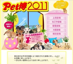 Pet博2011