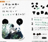au、上野動物園のパンダを動画で配信「パンダTODAY」キャンペーン実施