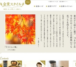 「金麦スタイル」毎日を、もっと楽しく、心地よく。