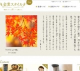 「金麦スタイル」毎日を、もっと楽しく、心地よく。