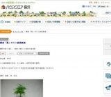 鎌倉「凛」のミニ盆栽教室 