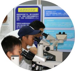 放射線影響研究所施設一般公開（オープンハウス2013）