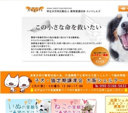 子犬・猫定期譲渡会