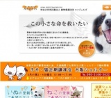 子犬・猫定期譲渡会