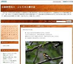 春のバードウォッチング
