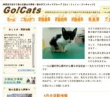子猫・若猫譲る会