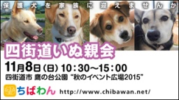 保護犬を家族に迎える譲渡会「ちばわん　四街道いぬ親会」