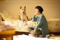 映画上映会『犬に名前をつける日』主催：ふなばし映画友の会　共催：ちばわん