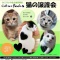 猫の里親会