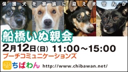 ちばわん『船橋いぬ親会】開催のご案内