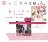 春の桜染め体験～エコマコ～