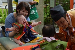 「第四回 奉納 泣き相撲しまなみ場所」 参加者募集