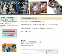 猫の譲渡会