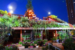 うめきたガーデンハロウィンナイト