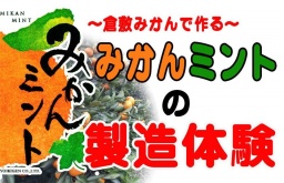 みかんミントの製造体験（倉敷みかんの試食付）→　定員になりました